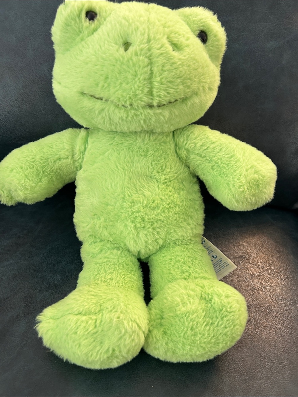 Build-A-Bear Spring Green Frog - Picture 5 of 12